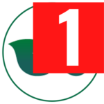 cardioslimtea.pages.dev favicon